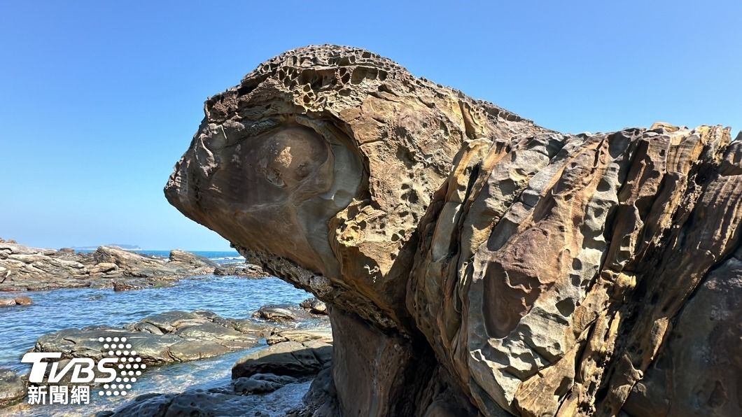 外木山神奇岩石　左看像「海龜」右看像「變色龍」