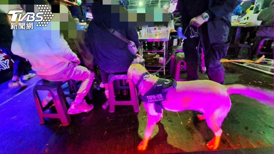 警犬找出多包毒品。(圖/TVBS)