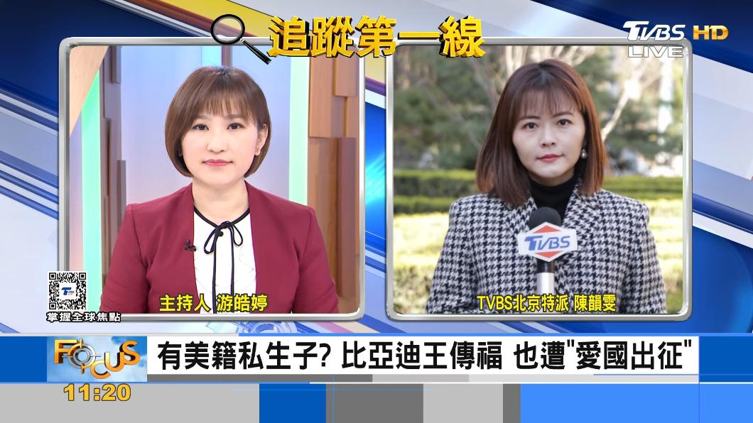 私生子女為美國籍?比亞迪董事長王傳福遭「愛國」出征