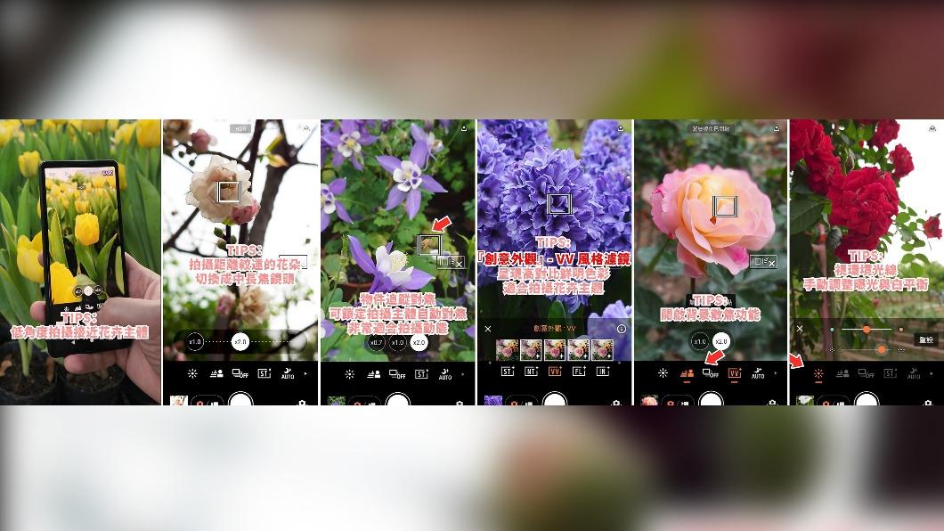 使用 Xperia 1 V 與 Xperia 5 V 輕鬆拍出質感花卉。(圖/業者提供)
