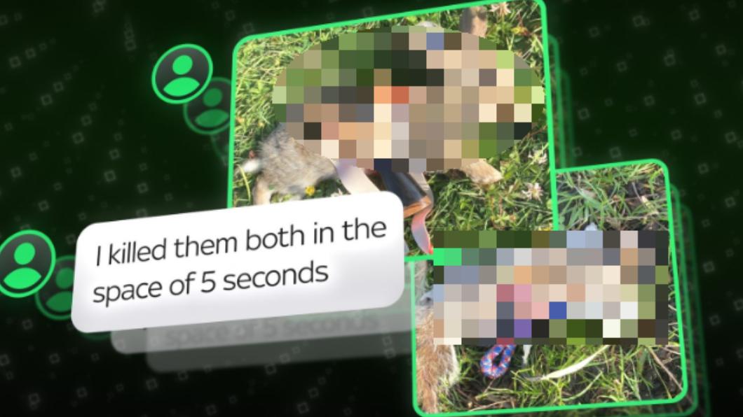 WhatsApp「殺戮群組」畫面。(圖/翻攝自《天空新聞》)