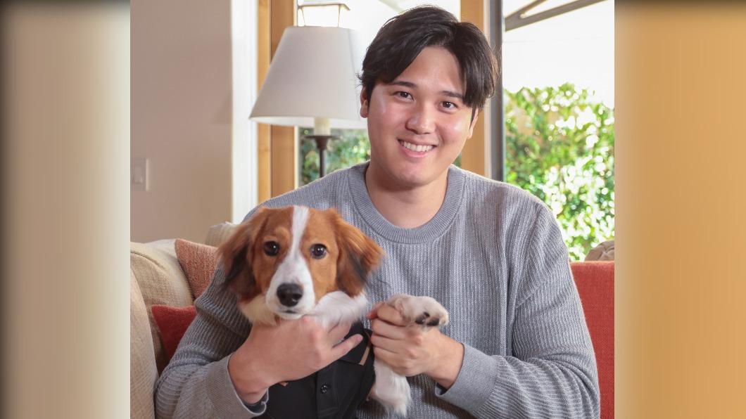 打擊火燙!大谷翔平打擊前「1動作」 遭網虧:學愛犬Decopin