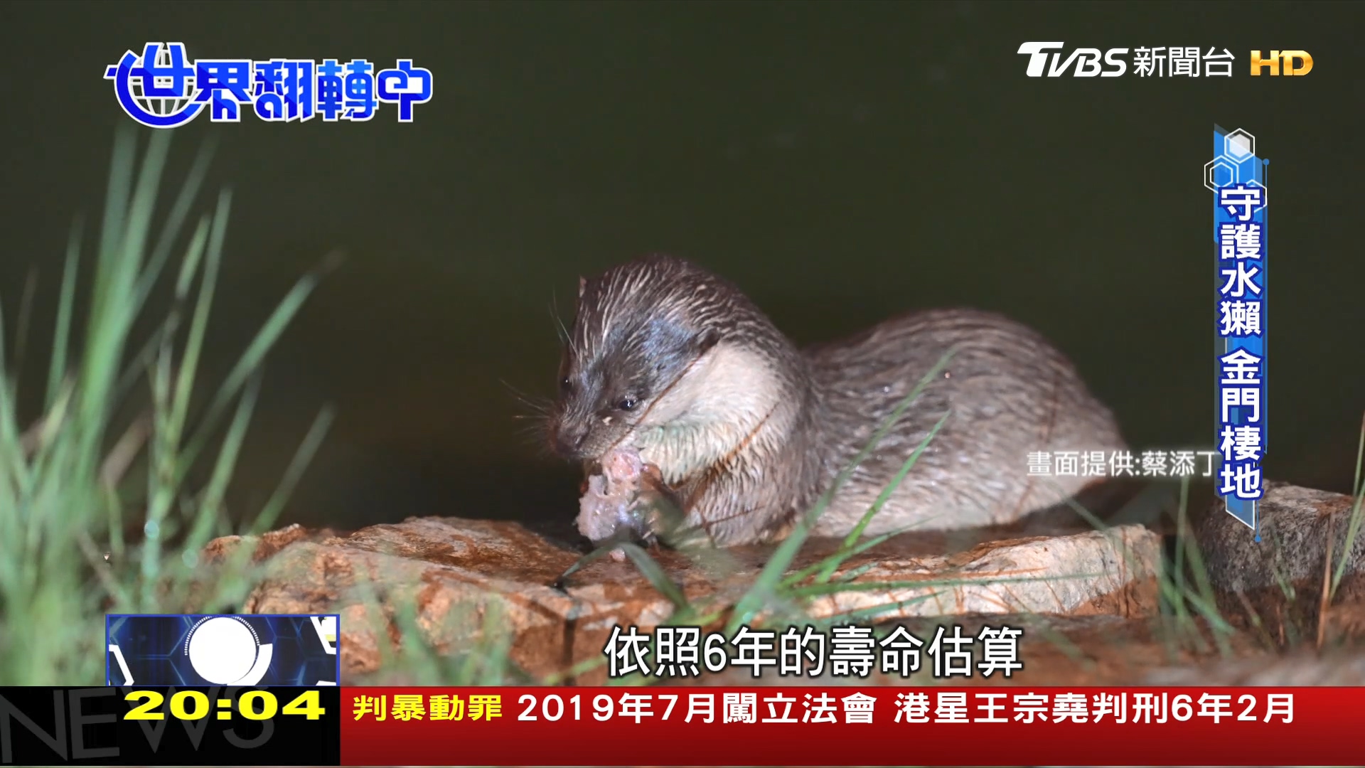 圖／TVBS