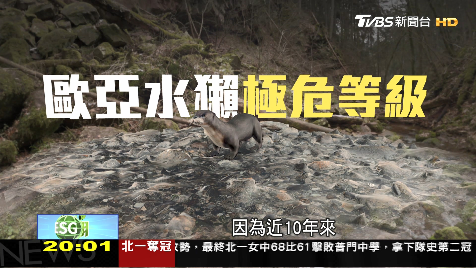 圖／TVBS