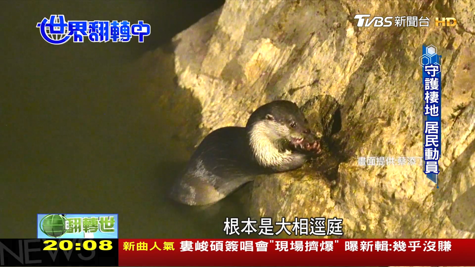 圖／TVBS