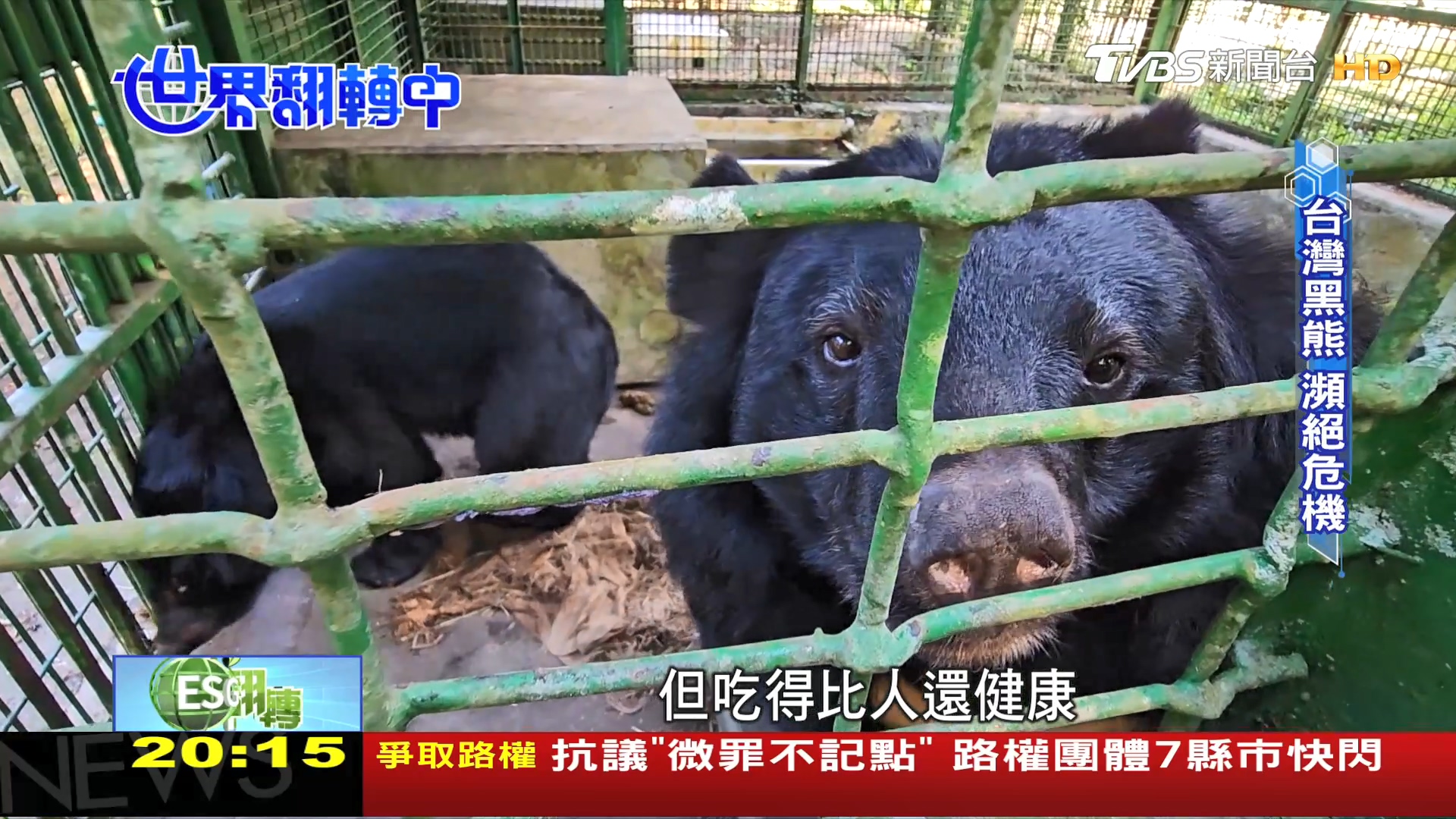 圖/TVBS