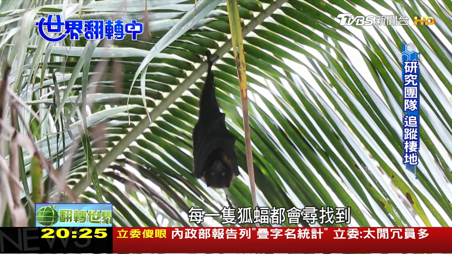 圖／TVBS
