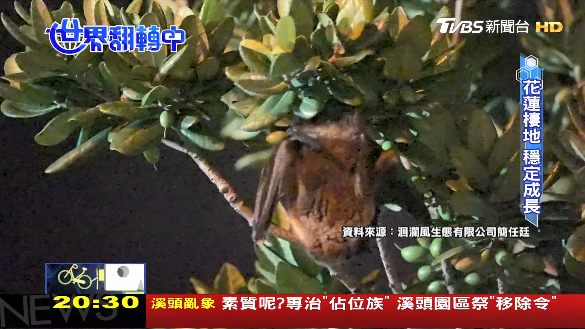 圖／TVBS