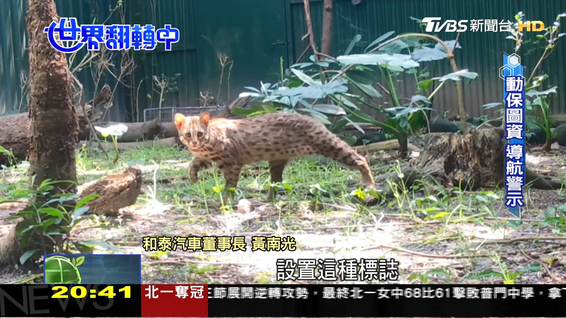 圖/TVBS