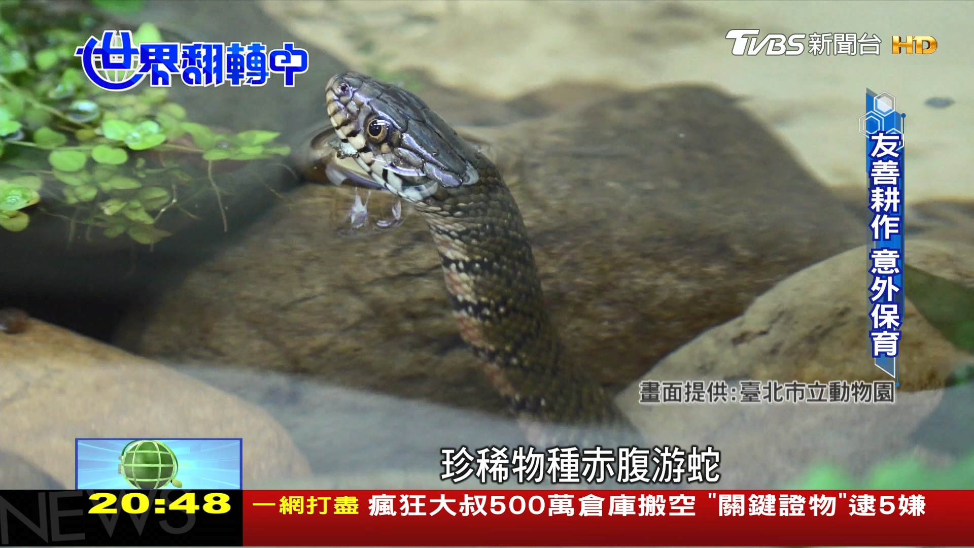 圖/TVBS