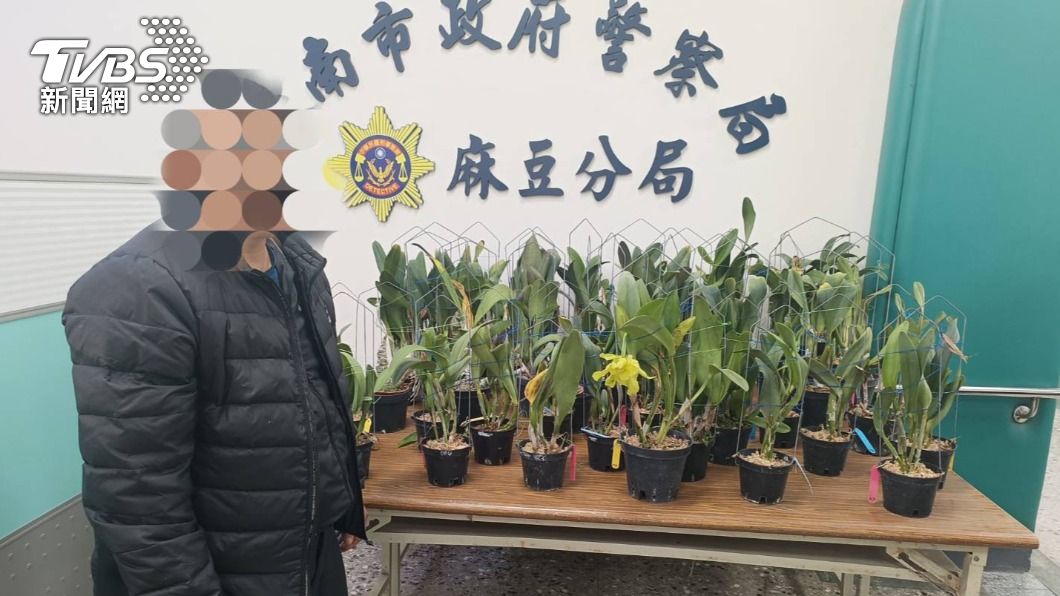 該名竊盜的熟客曾為了欣賞蘭花遠從宜蘭到臺南往返已有數年之久。(圖/TVBS)