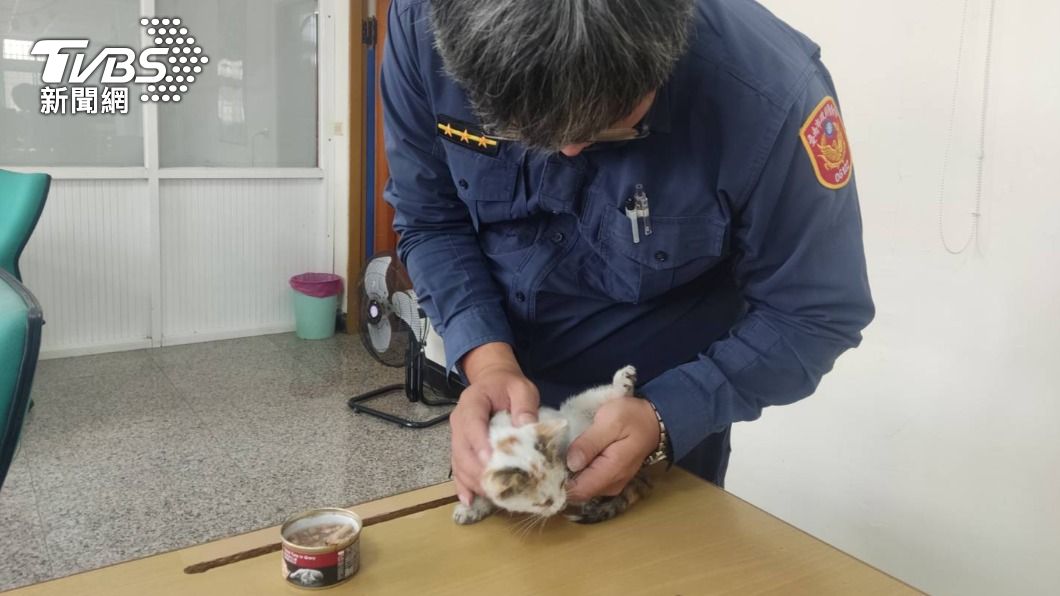 浪貓躲引擎室!暖警餵罐罐「騙出來」 狂呼嚕超萌畫面曝