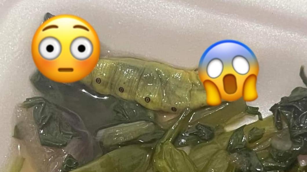 自助餐送「巨型豌豆莢」!他笑喊賺爛 全場嚇傻:還好不是半隻