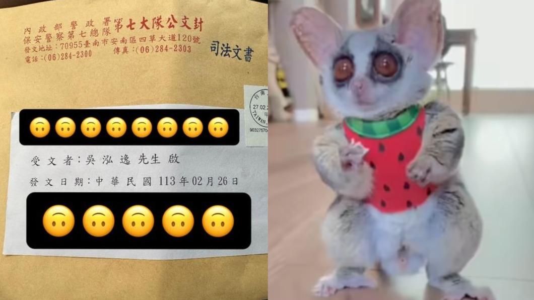 鳳梨在國外拍攝的嬰猴照片被民眾檢舉。(圖/翻攝自鳳梨臉書)