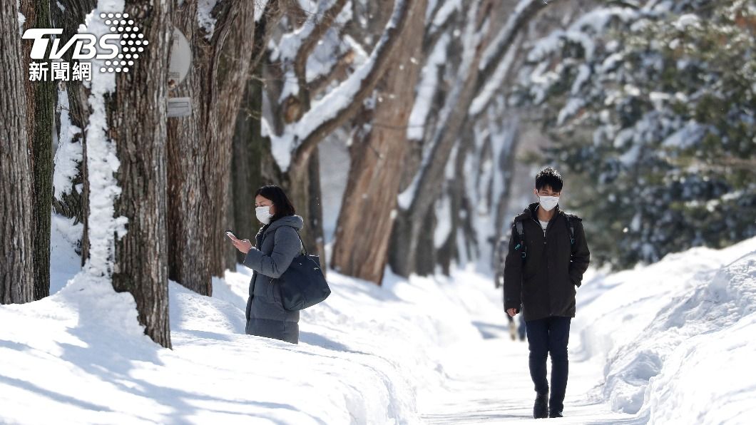 用舌尖走進雪中森林 北海道主廚靠料理展現風土