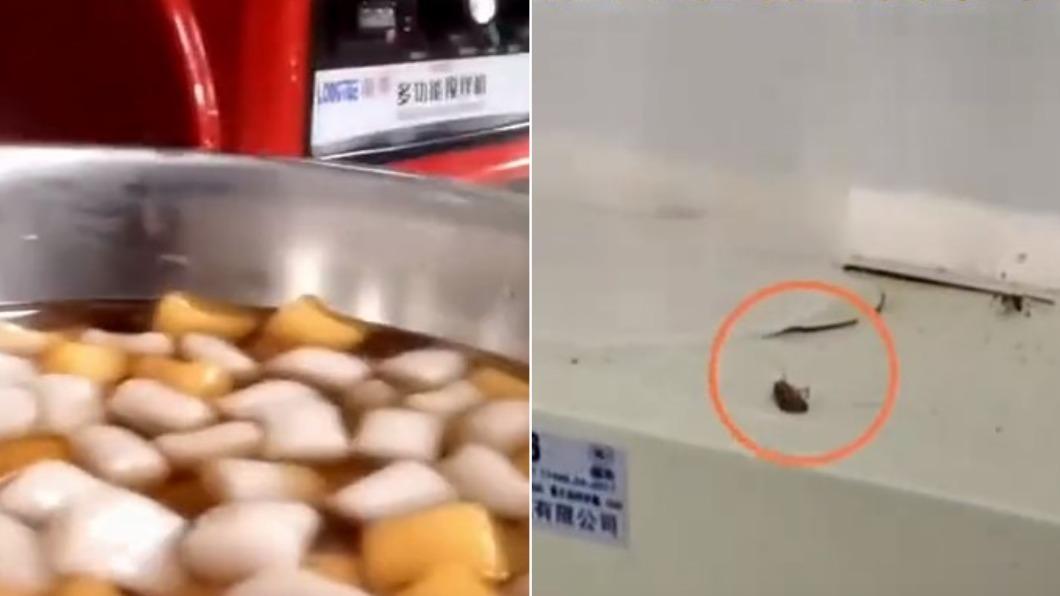 噁!陸鮮芋仙被踢爆衛生堪憂 食材放垃圾桶、黑蟲亂飛畫面曝