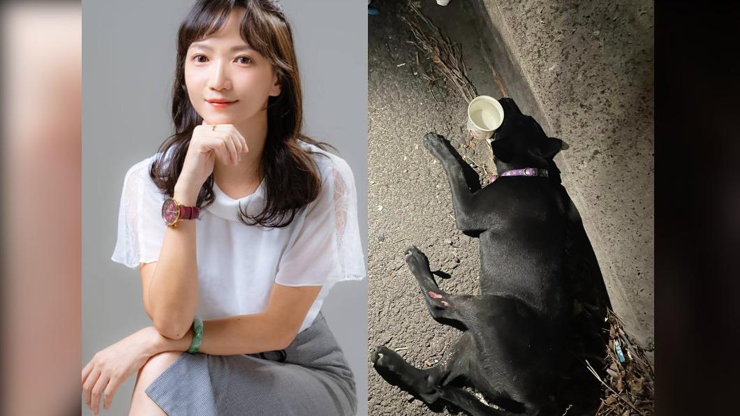 白沙屯媽回鑾!好心香燈腳發現「小歐告」遭撞 美女議員急救援