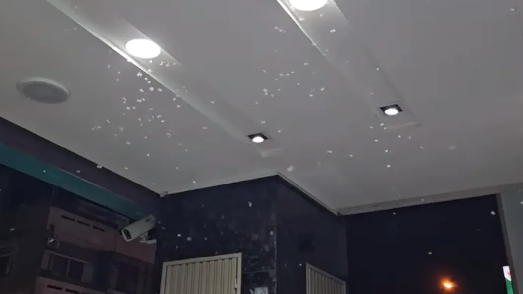 大水蟻提早出沒!「騎樓狂飛」3秒片曝 鄭明典預告:雷雨季要來了