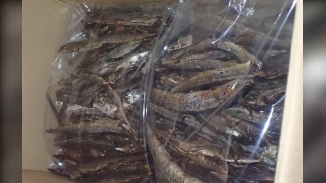 又爆致癌物!日本焙乾秋刀魚「苯超標40倍」 食藥署退運銷毀