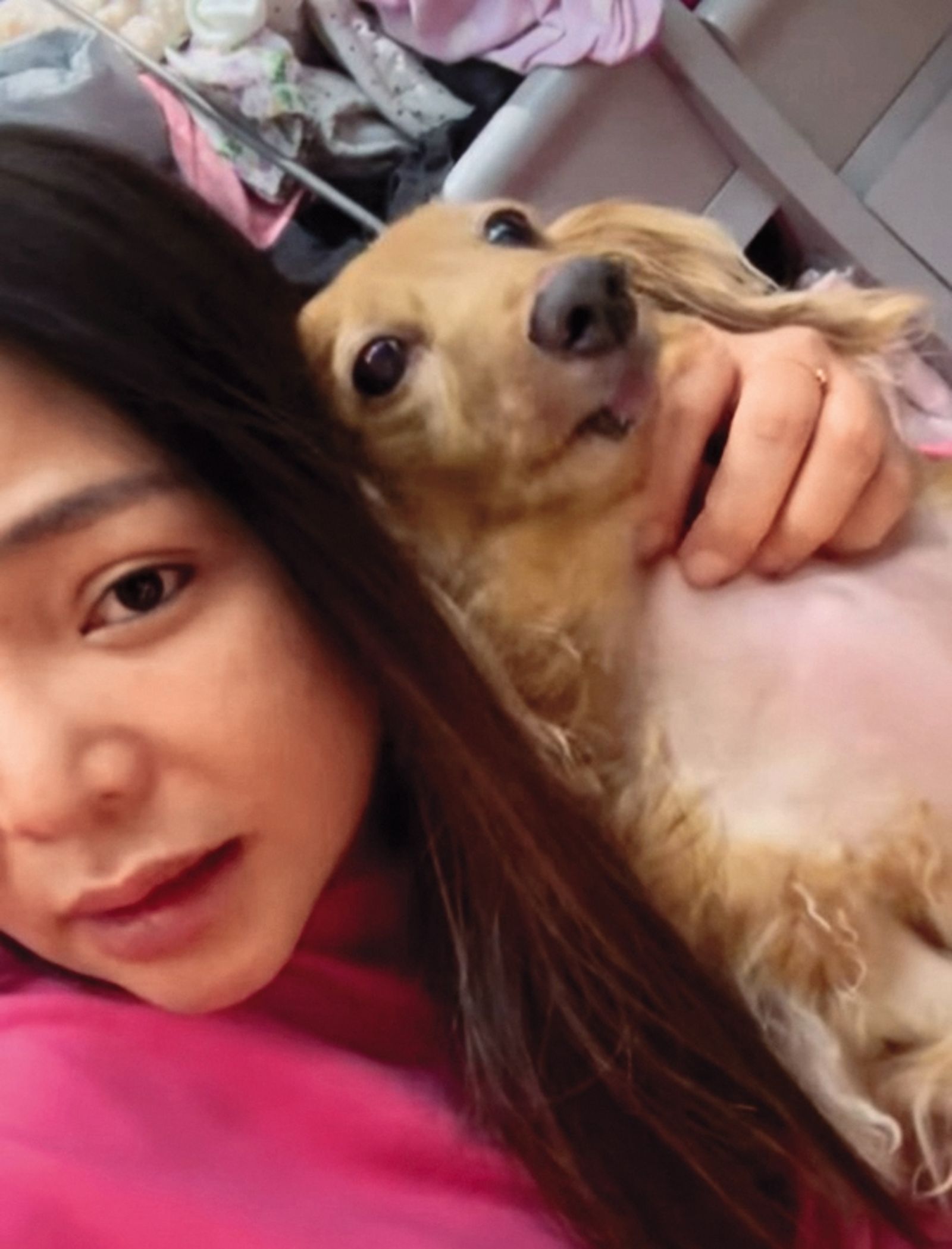 離婚後小甜甜爆出虐狗事件,她開直播澄清愛犬並無受傷。(圖/翻攝自小甜甜臉書)