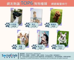 網友熱議TOP6狗狗種類網路聲量排行(圖/網路溫度計)