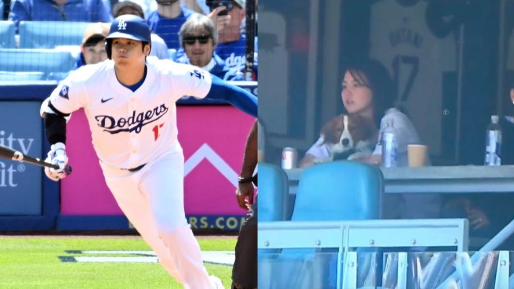 MLB/大谷敲雙安道奇7比1擊敗紅雀 真美子抱愛犬超萌觀戰
