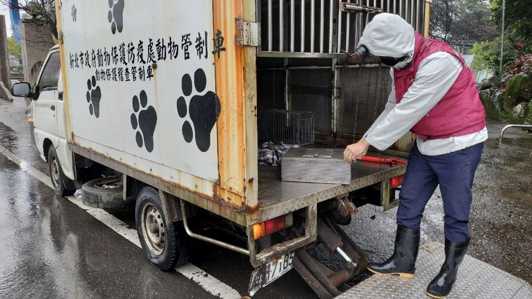 動保處人員到場捕捉,最後將蛇野放山林。(圖/翻攝新北市動保處官網)