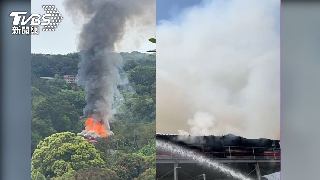 暴雨襲新竹!寶山鴿舍遭閃電劈中 38隻賽鴿全成「烤小鳥」