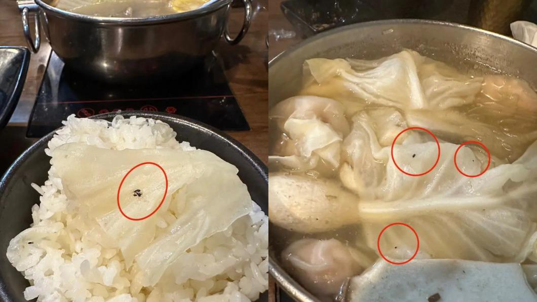 火鍋菜黏黑蟲、蟑螂到處爬!苦主「以為是胡椒」狂吃 店家回應了