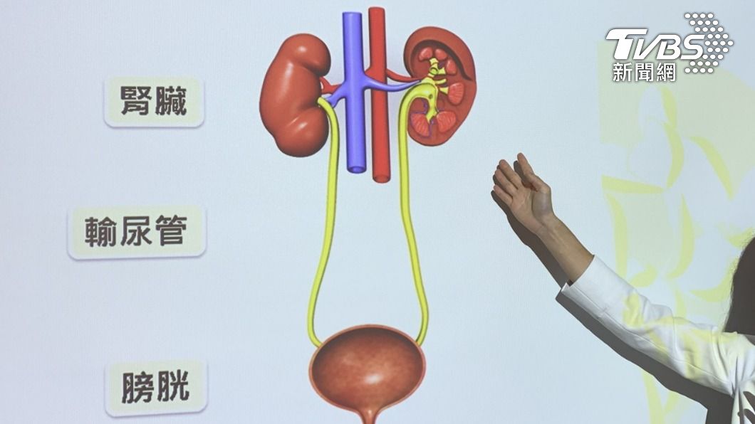 男嬰的左腎偏小。(圖/TVBS)