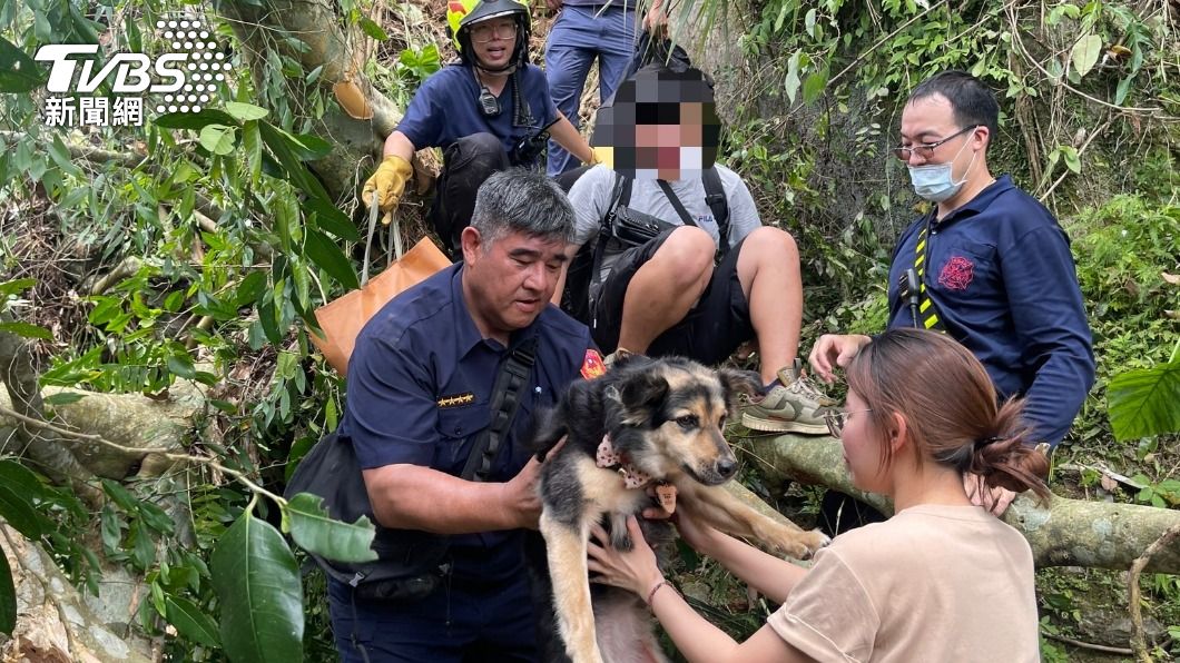 花蓮地震/4遊客露營遇強震嚇壞求助 愛犬「一臉無辜」被抱出