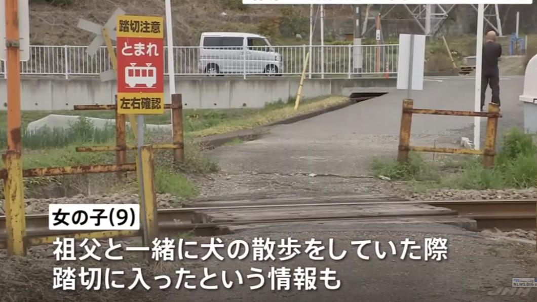 疑顧著追愛犬 日本9歲女童不慎誤闖平交道遭電車撞死