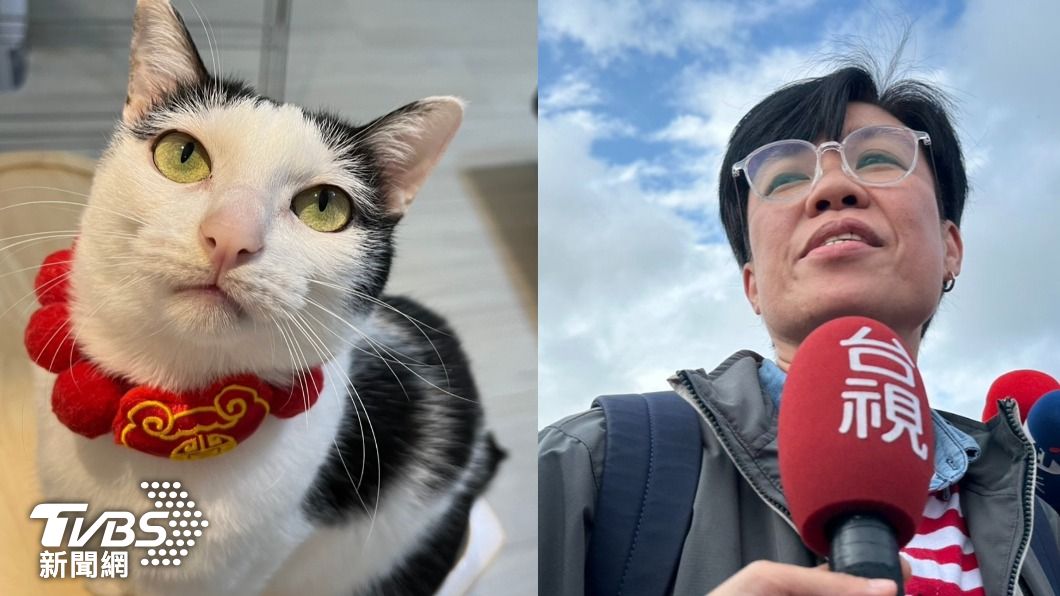 花蓮地震／愛貓還在天王星大樓裡　飼主哽咽：牠昨天4歲生日