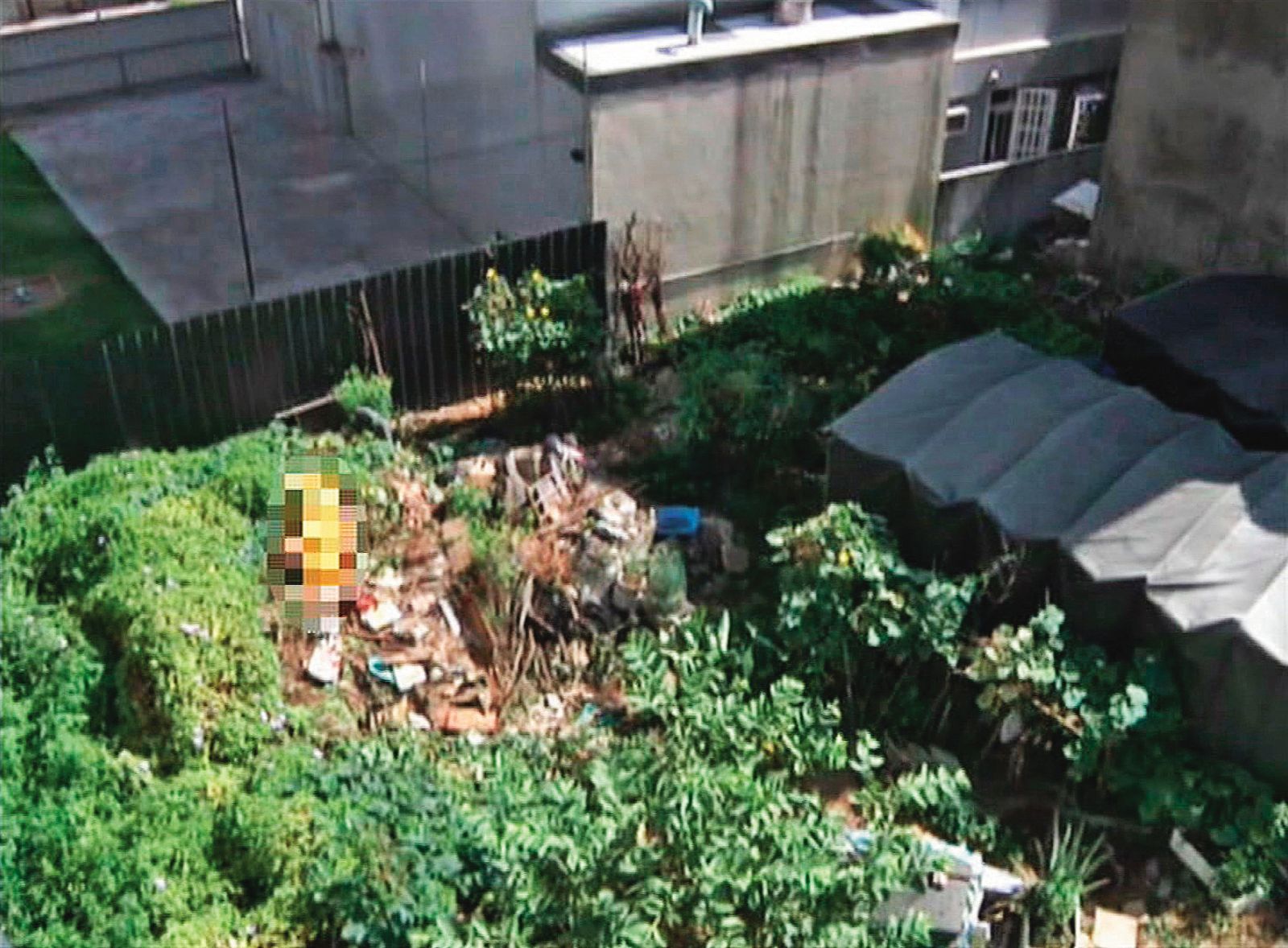 胡男遇襲後逃往對面菜園,最後仍遭割頸身亡,陳屍於雜草堆中。(圖/東森新聞提供)