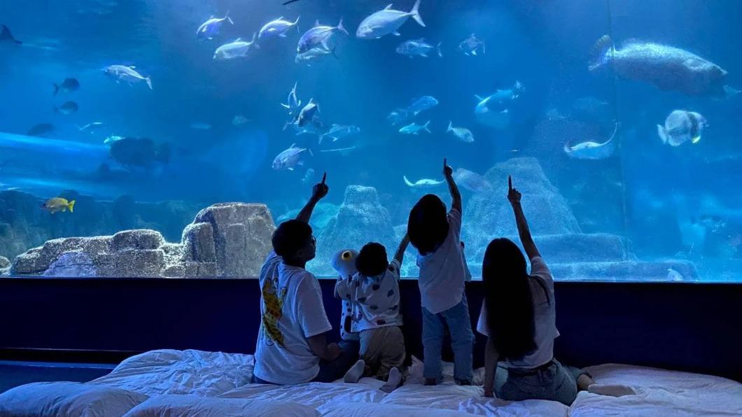 花蓮知名景點遠雄海洋公園今（9日）宣布暫時休園。（圖／翻攝自遠雄海洋公園臉書）