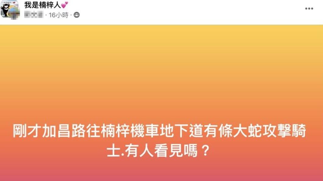 原PO目睹蛇攻擊騎士。(圖/翻攝我是楠梓人)