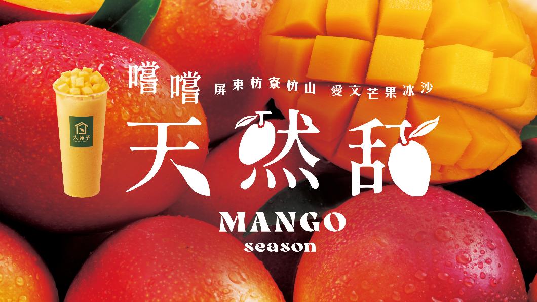 大苑子手搖飲店，每年夏天最夯的愛文芒果冰沙，今（10）日正式上市回歸。（圖／業者提供）