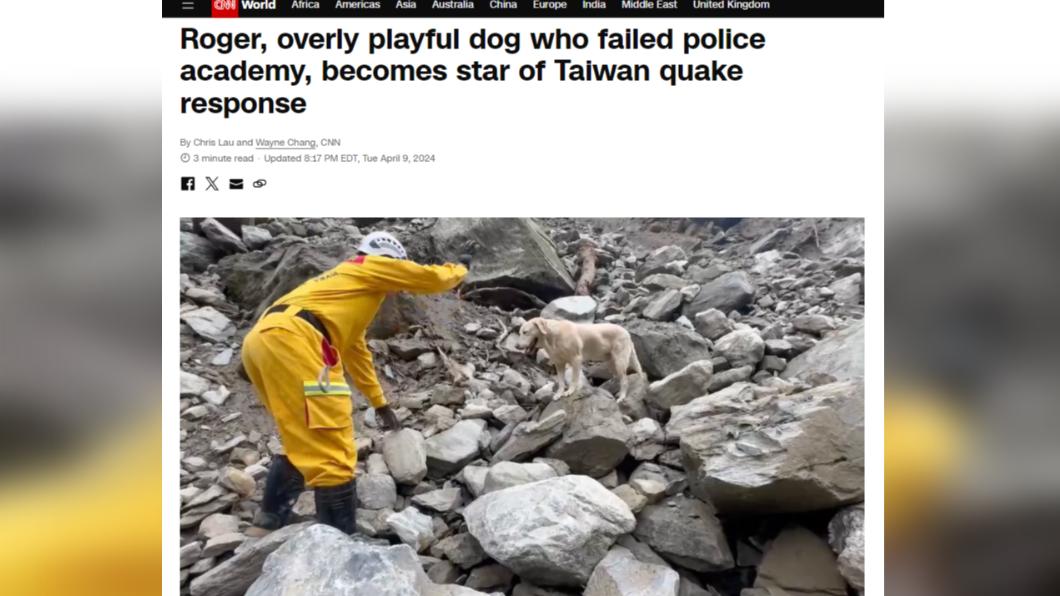 搜救犬Roger咬麥克風紅到CNN! 救援功臣快9歲有望開放認養