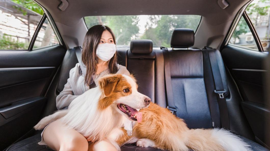 毛孩爸媽看過來!Uber慶國際寵物日最高折40 限定優惠碼快收