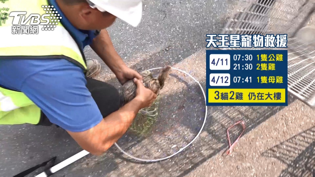 圖/TVBS