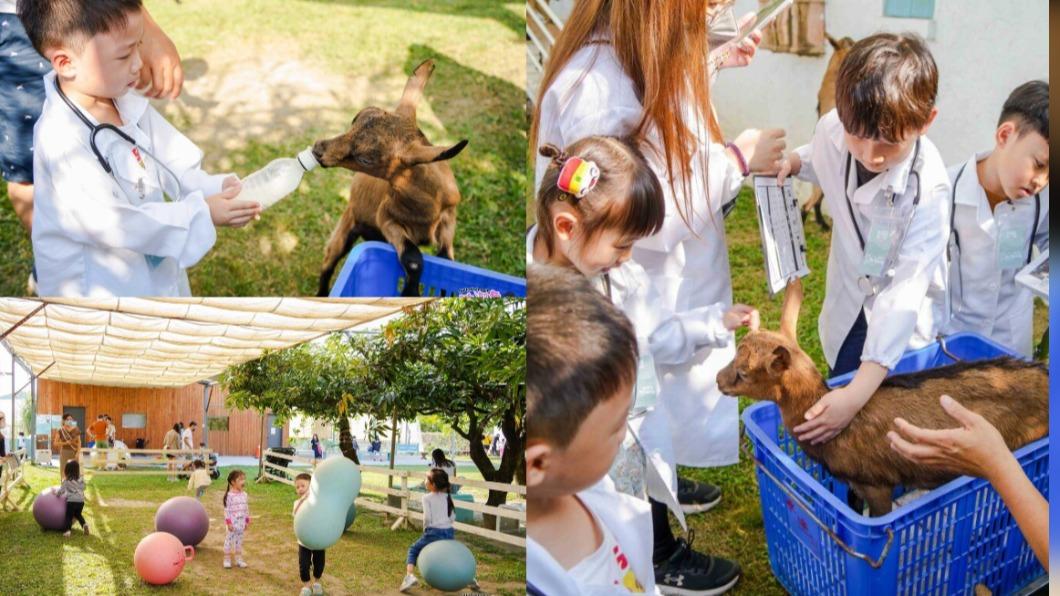 放電好去處!「親子牧場」4歲以下免門票 可化身小獸醫聽診小羊