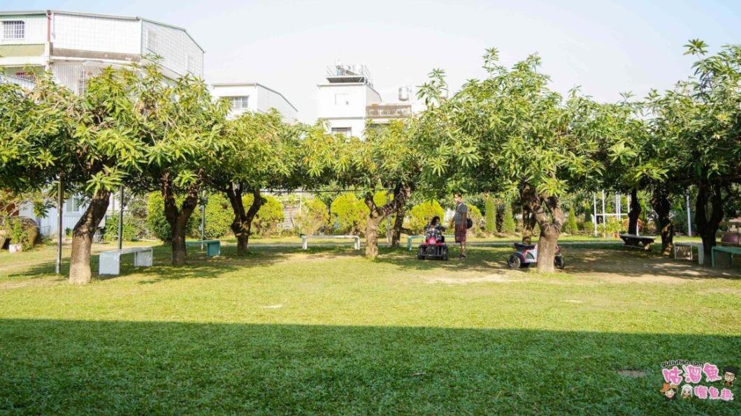 園區的空間算是寬敞,可容納很多組的旅客、家庭客。(圖片/咕溜魚|曬魚趣 美食 旅遊 親子提供)