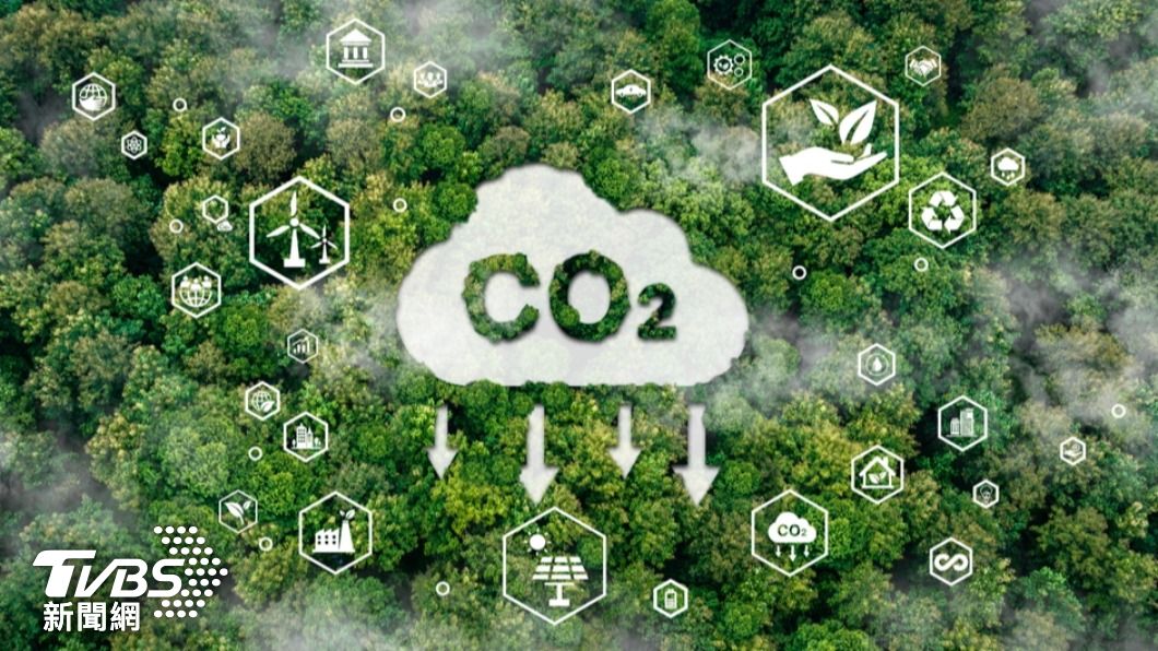 阻止氣候危機惡化 巴西原生植被恢復速度緩慢