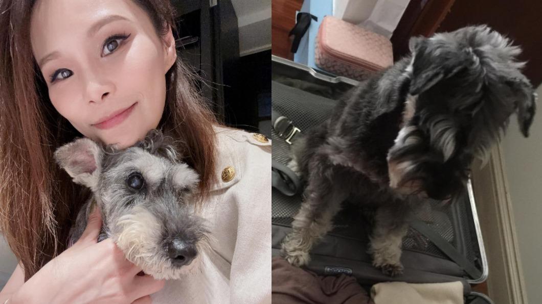 周蕙最近為了愛犬,特地去學習寵物溝通的技能。(圖/翻攝自周蕙臉書)