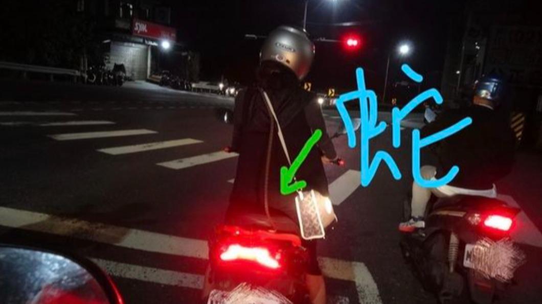 淡水女騎士「背後掛一條長蛇!」從椅墊爬到脖子 他嚇壞曝結局