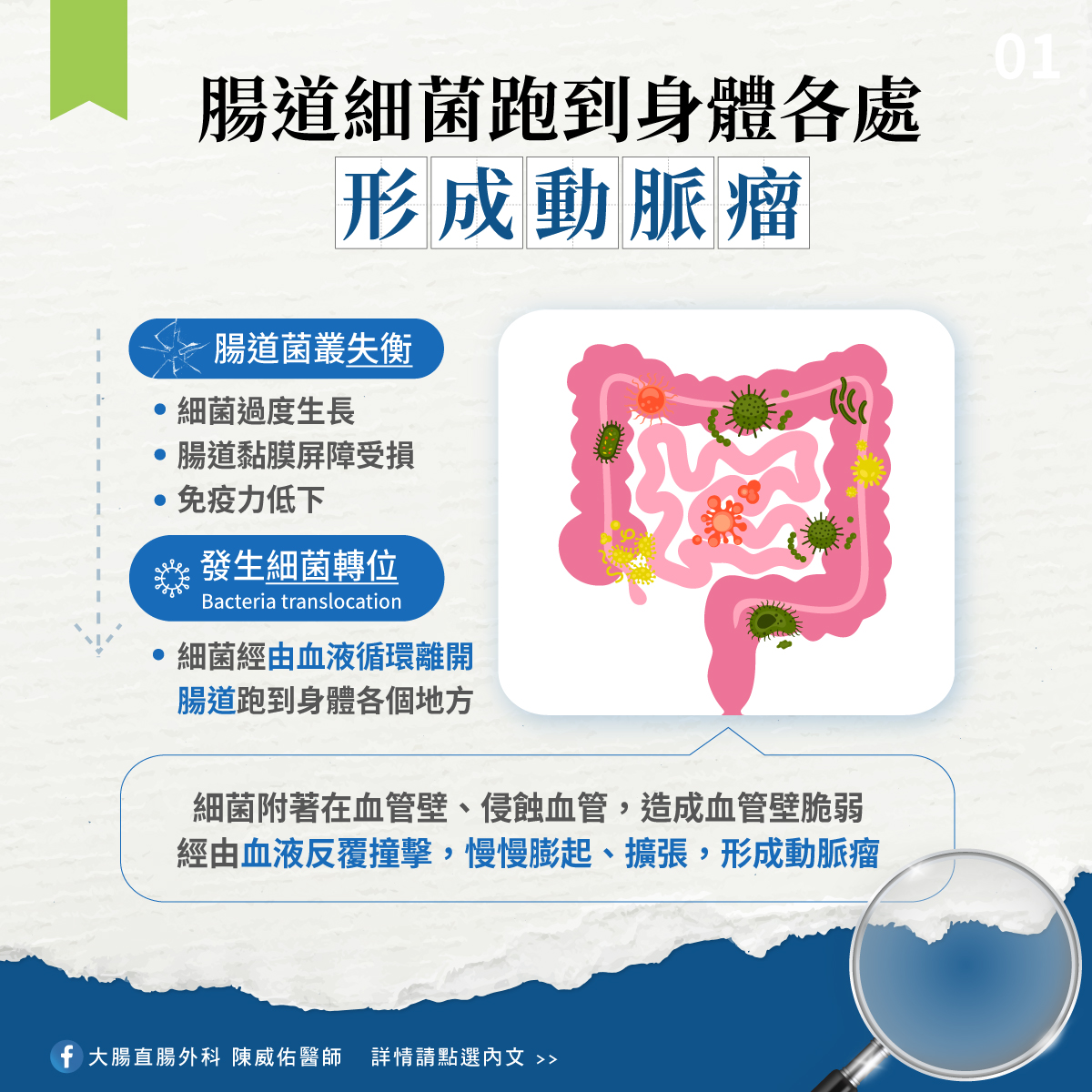 腸道細菌跑到身體各處會形成動脈瘤。(圖/陳威佑醫師提供)