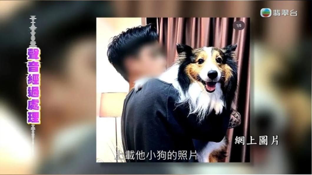 性侵犯出獄變「愛寵物網紅」!誘騙20名少女 逼染上性病
