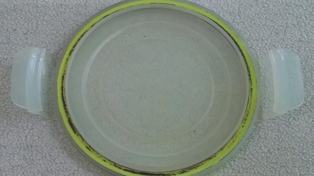 保鮮盒膠條發霉別扔!家事達人教「2物」不費力輕鬆除霉