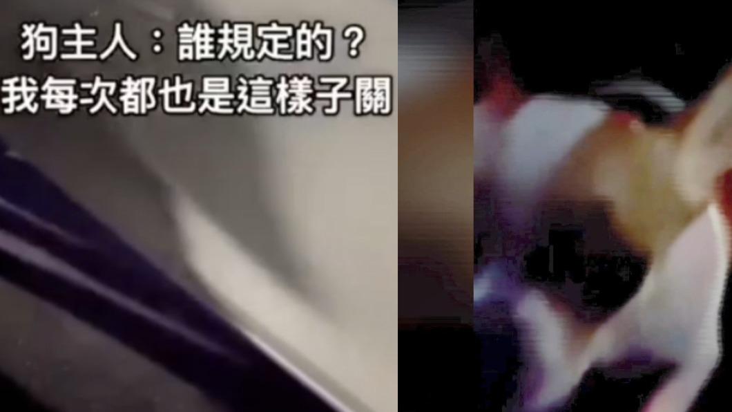 吉娃娃遭關密閉車!飼主不滿被報警 嗆「都這樣關不會死」