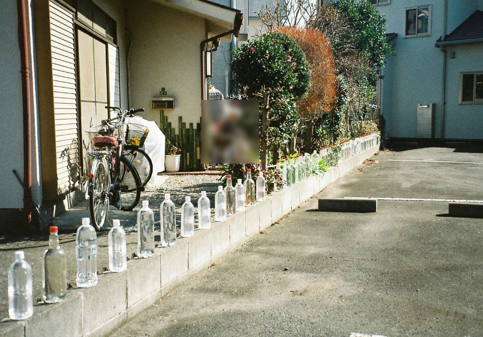 作法?日本住宅前擺一排「裝水寶特瓶」 內行網友揭防貓用途